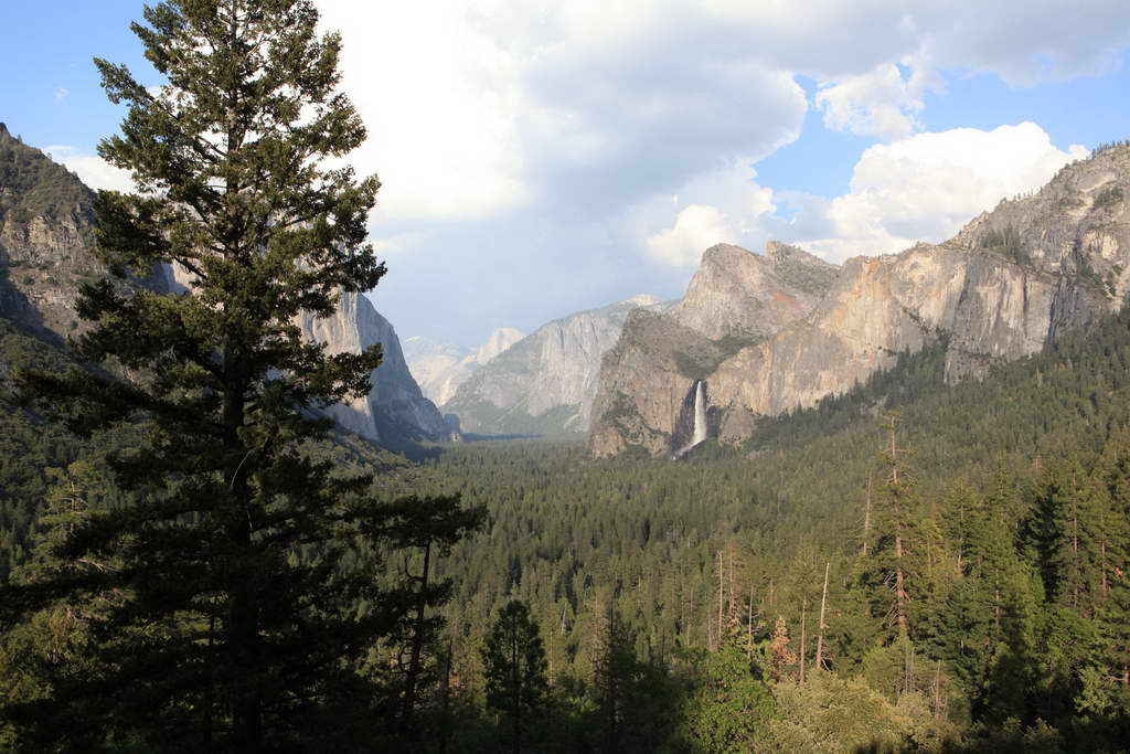 Yosemite NP
